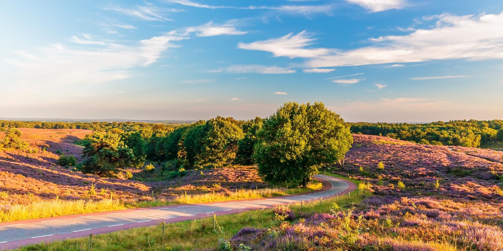 Rondje Posbank fietsroute - Nederland Fietsland