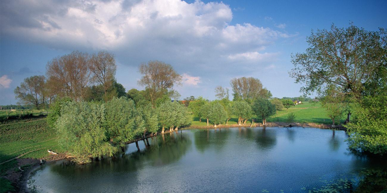 Land van Maas en Waal route - Nederland Fietsland